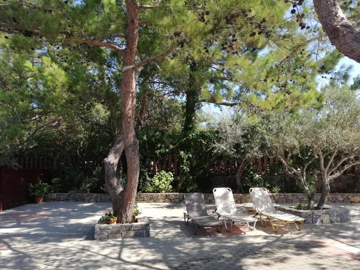 Ferma Solaris Apartments Agia Fotia  Eksteriør billede