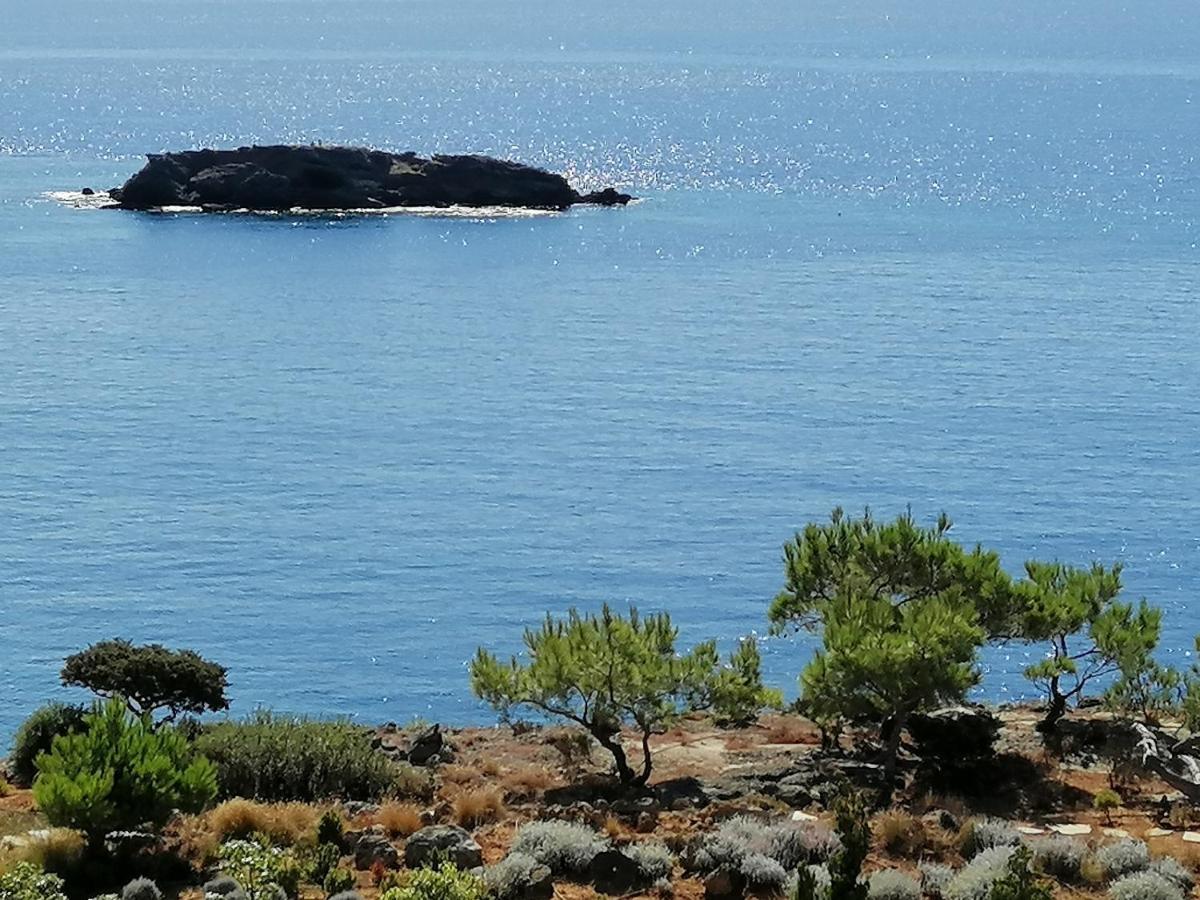 Ferma Solaris Apartments Agia Fotia  Eksteriør billede
